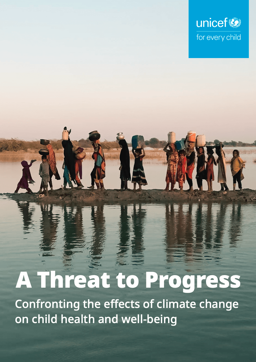 Omslag - A threat to progress (rapport juli 2024)