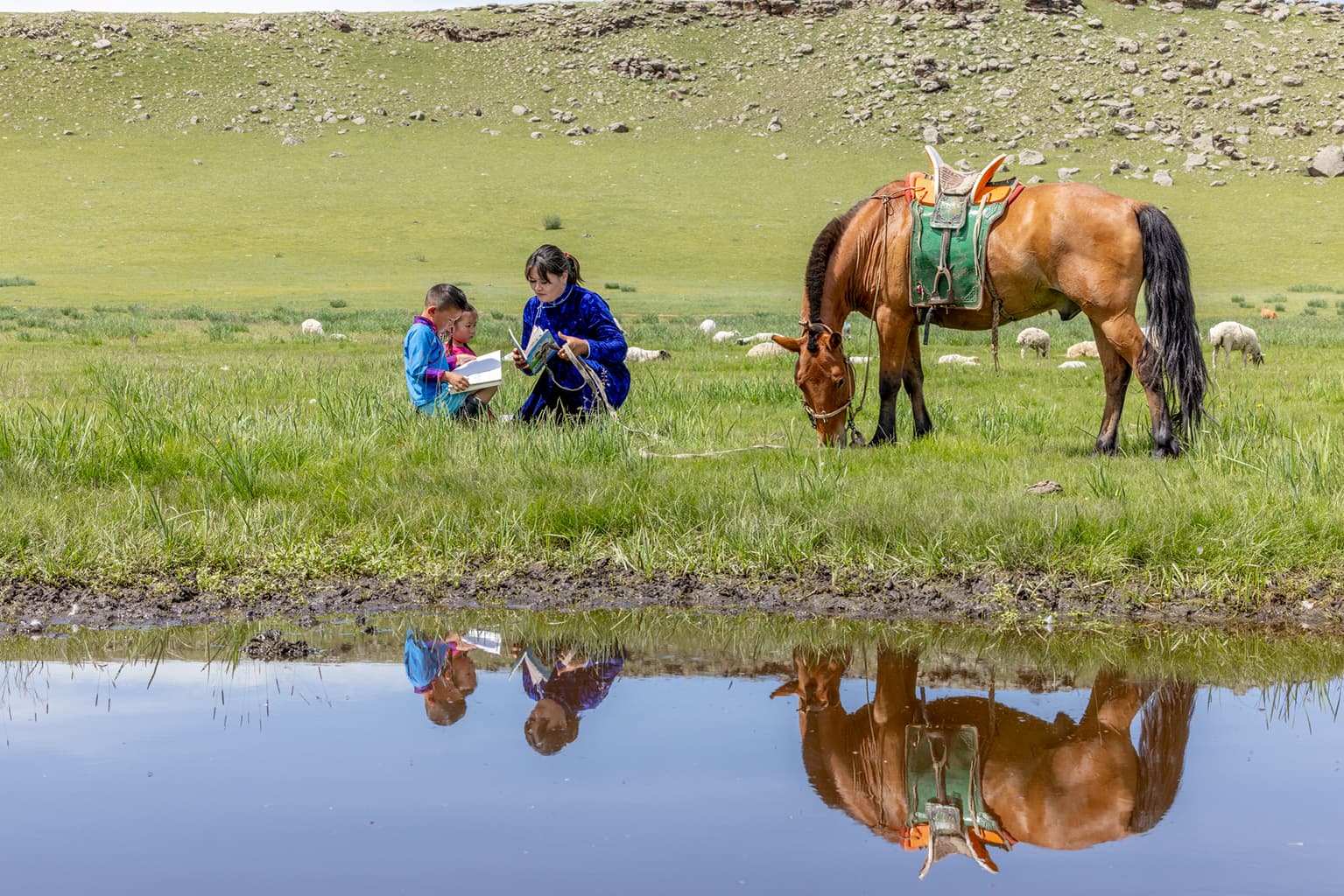 Utbildning på fält – Mongoliet 2025